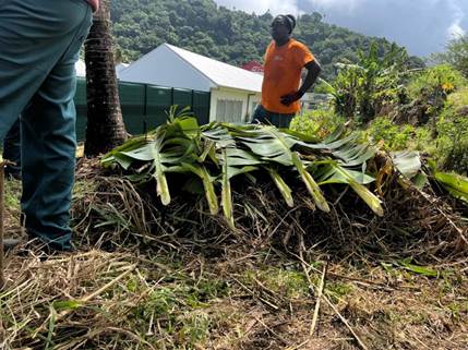 Une image contenant plein air, ciel, personne, habits    Le contenu généré par l’IA peut être incorrect.